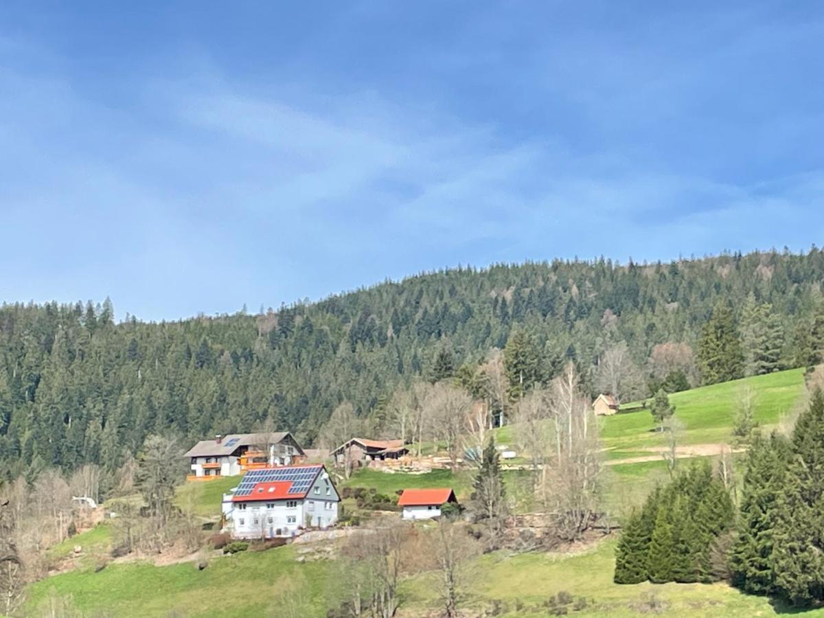 Апартаменты Altes Berghaus Obertal  Экстерьер фото