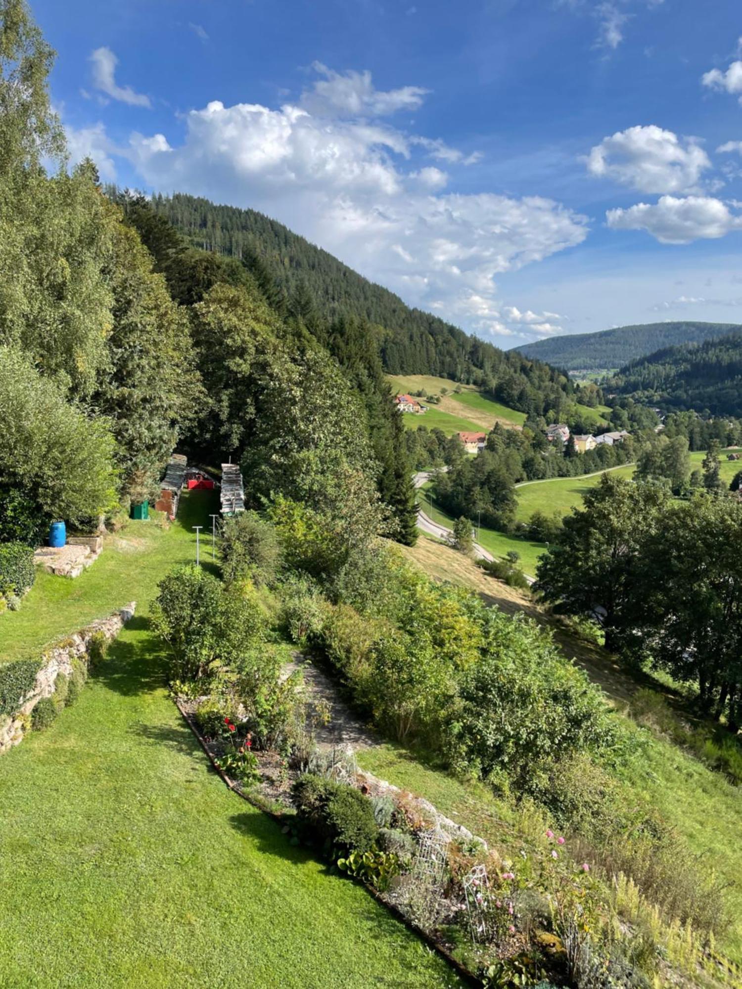Апартаменты Altes Berghaus Obertal  Экстерьер фото